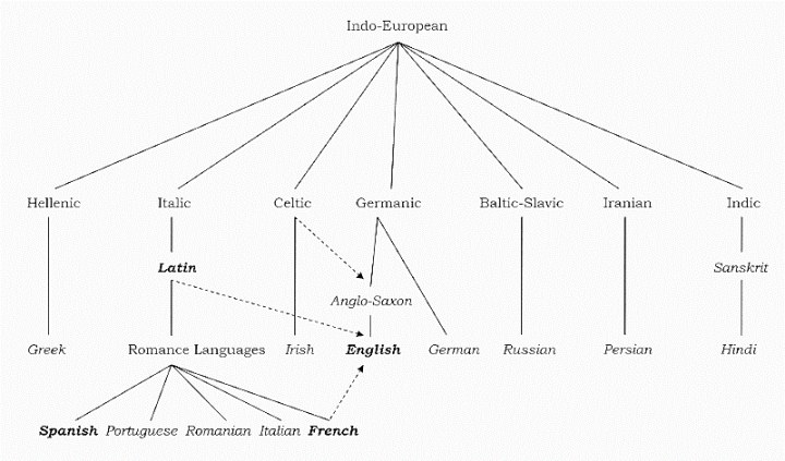 英语在印欧语系中的位置